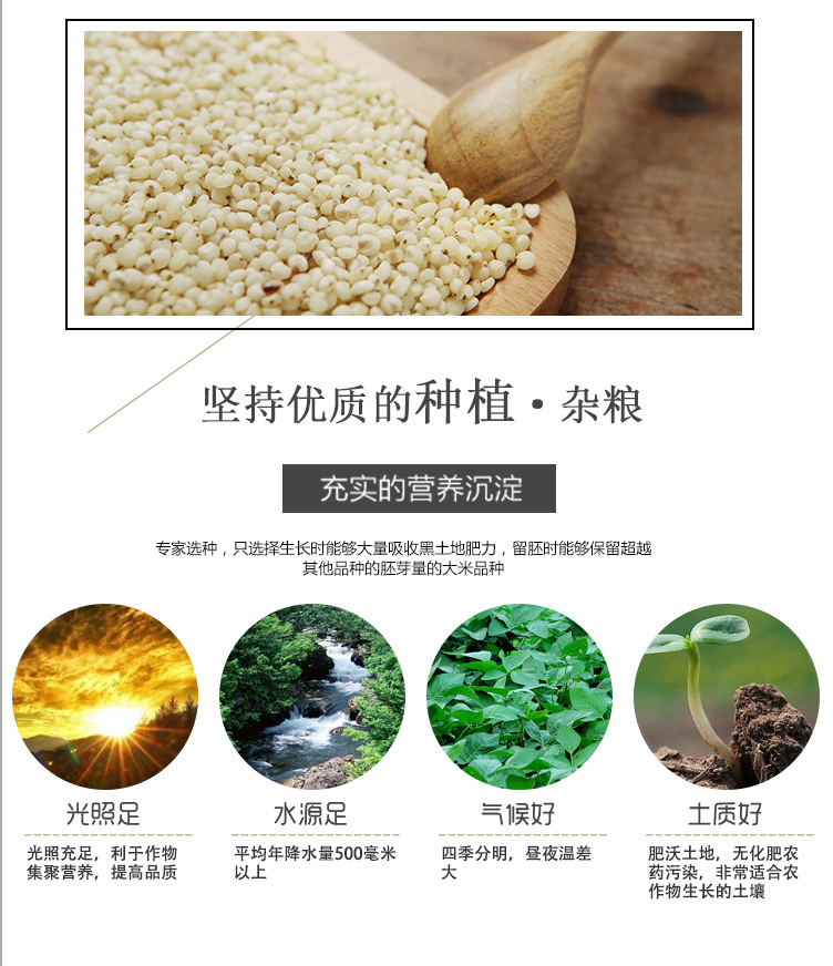 雜糧禮盒_06.jpg